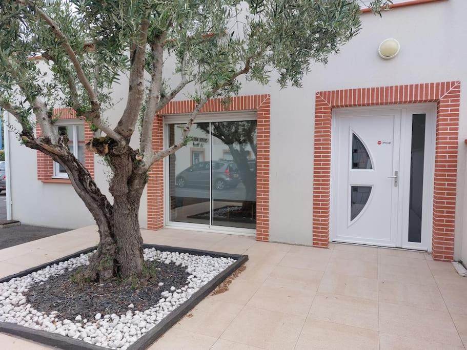T3 Climatise, Parking Et Jardin Quartier Des Marots A Colomiers Leilighet Eksteriør bilde