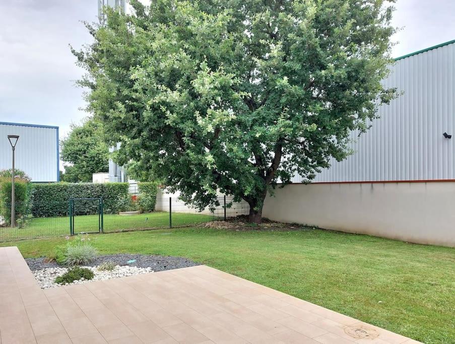 T3 Climatise, Parking Et Jardin Quartier Des Marots A Colomiers Leilighet Eksteriør bilde